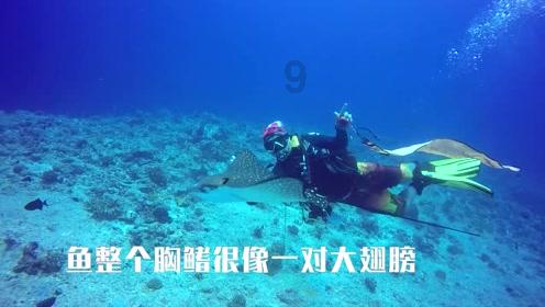 由银河光年（山东）文化传媒出品《美味生活》正式启动拍摄
