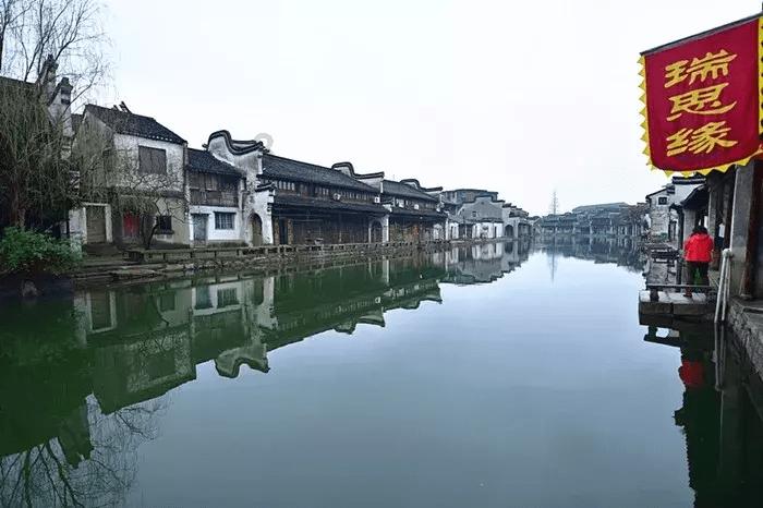 植物大战僵尸13